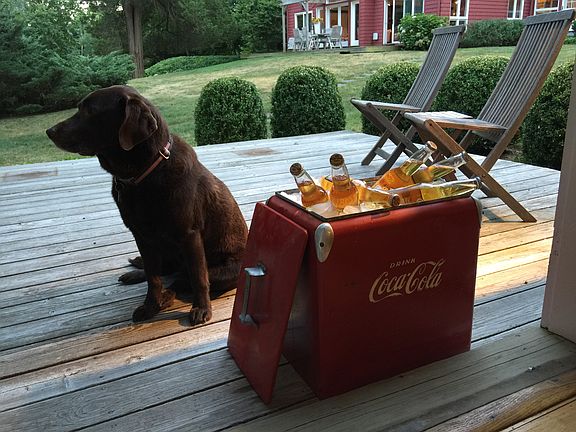Deck at Guest Cottage