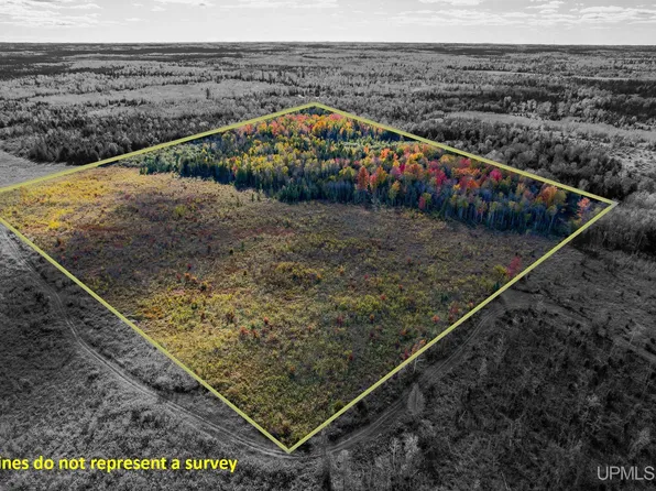 Off Kingsley 3 Ln, Cornell, MI 49818