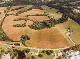 73 Lane Switch Rd, Albertville, AL 35951