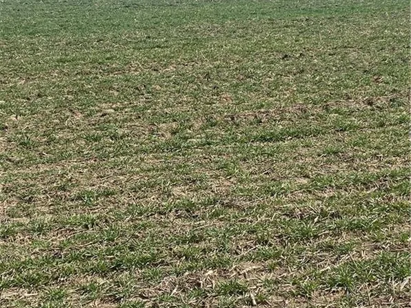 0 243rd St, Mc Louth, KS 66054