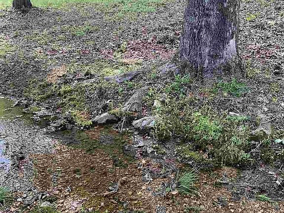 4th image of 0 Old Highway 64 E