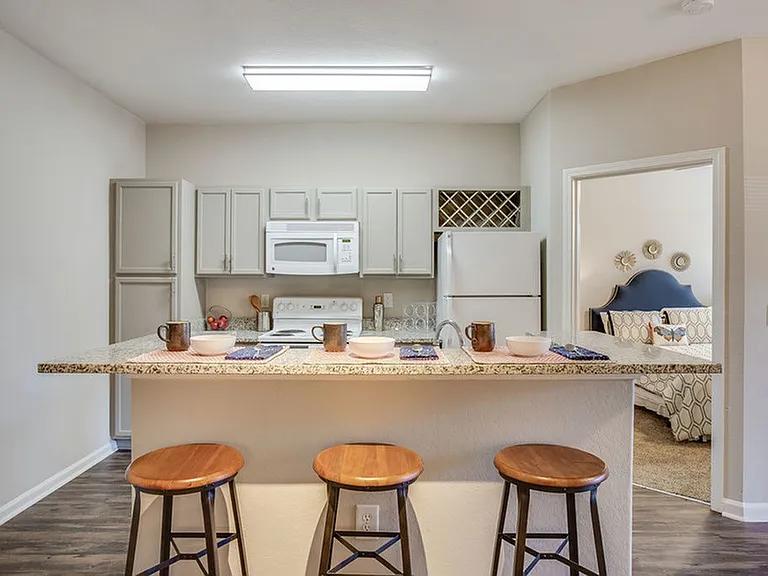 Open-Concept Kitchen