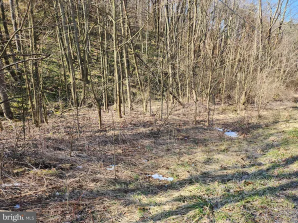 Pulpit Rd, Woodbury, PA 16695