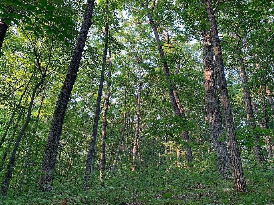 Building Site Option