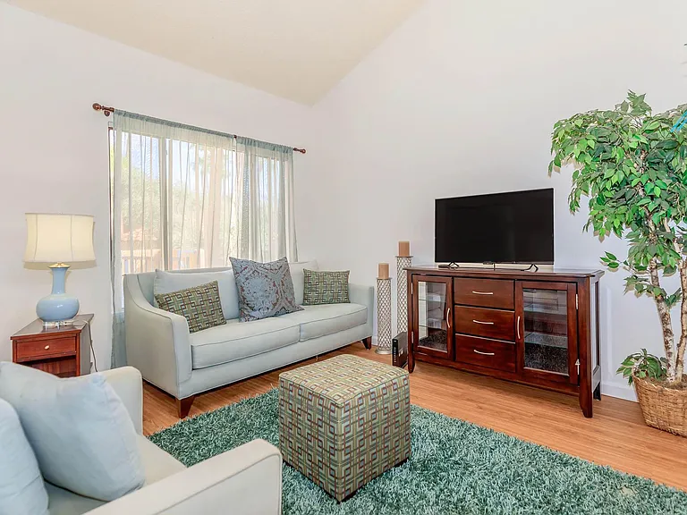 Rio Cancion Apartments — Photo 97