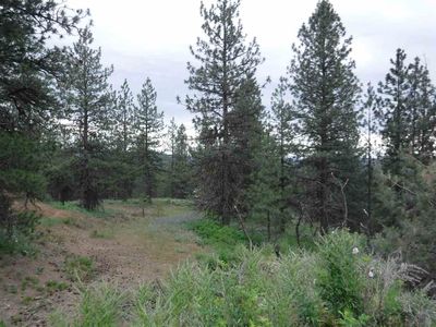 X Bigfoot Ln, Elk, WA, 99009
