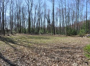 39.63 Acres Koepenick Rd, Elcho, WI 54428