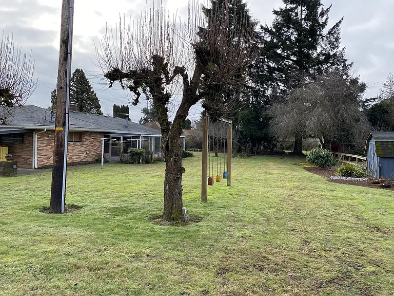 Flat, large backyard