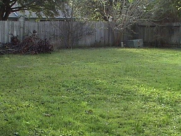 Huge backyard