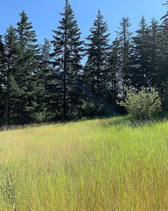 Looking east from the meadow