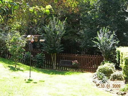 Nice Side Yard