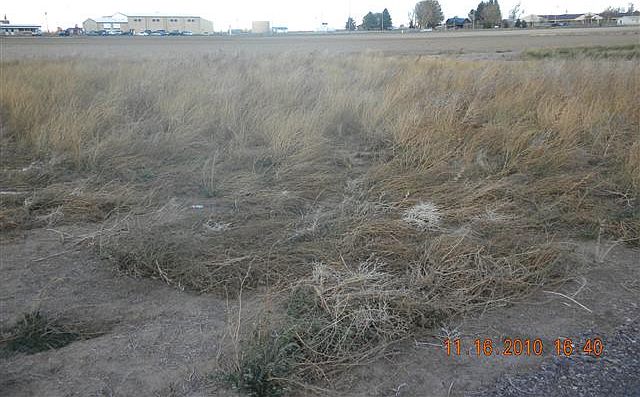 2nd image of Tbd Toupin Subdivision