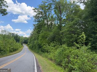 11 Long Branch Rd, Toomsboro, GA 31090