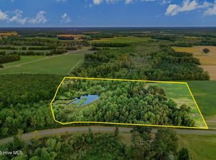 294 James Price Rd, Seven Springs, NC 28578