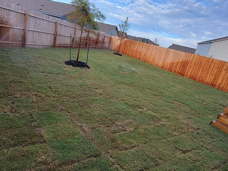 10123 Kersey Ml — Photo 2