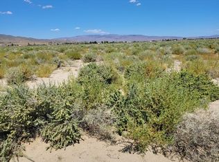 1590 E Cougar St, Silver Springs, NV 89429