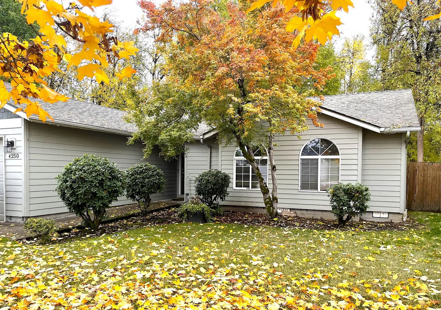 3 bed 2 Bath - Single Level home — Photo 2