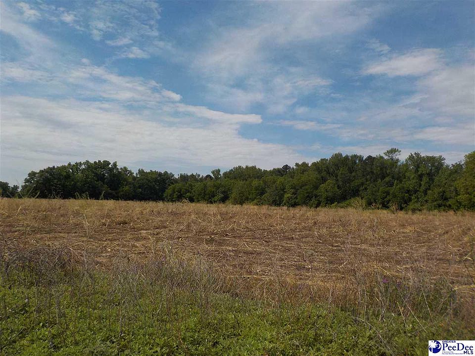 2nd image of Hickory Grove Rd