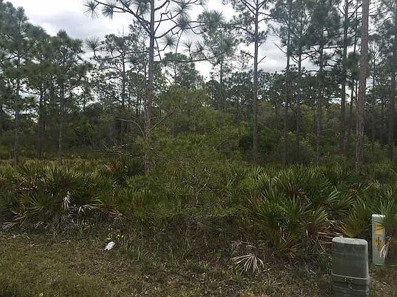 4th image of 658 Longwood Ct