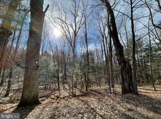 40-49 Elk Ridge Ln, Grantsville, MD 21536