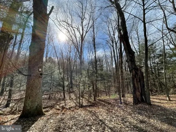 40-49 Elk Ridge Ln, Grantsville, MD 21536