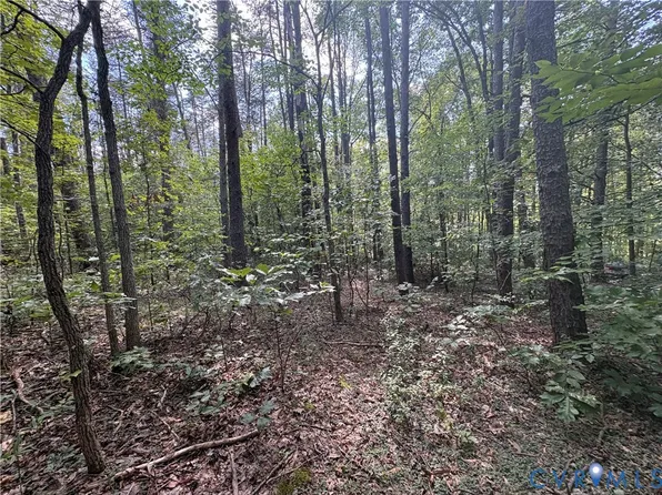 0 Bradshaw Rd, Gum Spring, VA 23065
