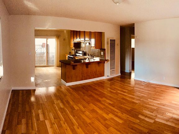 Living Room and Kitchen Area - Open Floor Layout