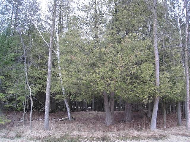 1st image of LOT 1 Idlewild Woods Dr