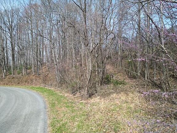 4th image of 0 Marshall Hill Rd Tract B-2