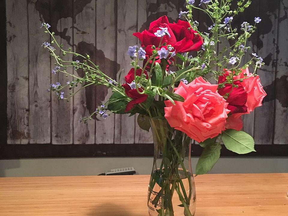 Flowers from backyar garden 