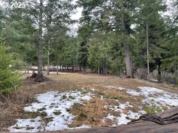 Kida Rd #3, White Salmon, WA 98672