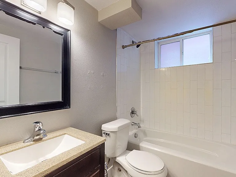 South Forest — Photo 15