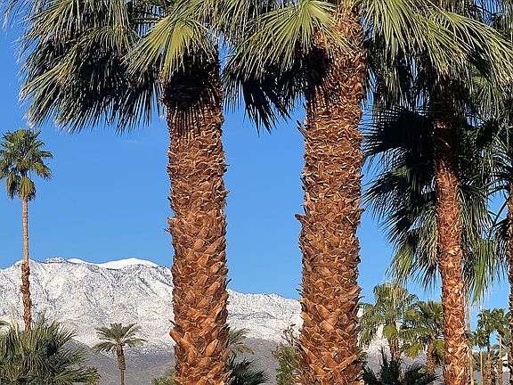 Snow cap view from backyard 