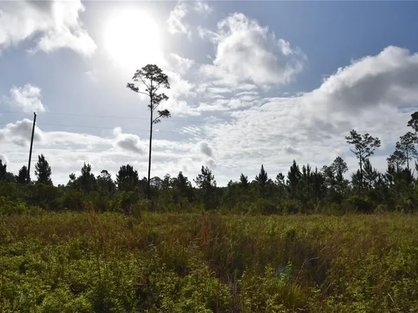 22370 NE 130th Ave, Fort Mc Coy, FL 32134