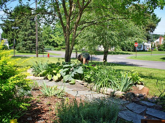 Front yard in Spring