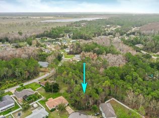 17 Zephyr Lily Pl, Palm Coast, FL 32164