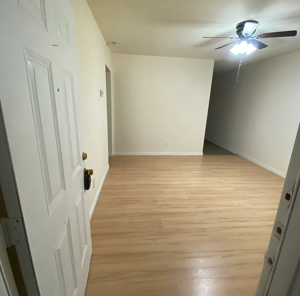 2 bed, 650 sqft, $900 — Photo 3