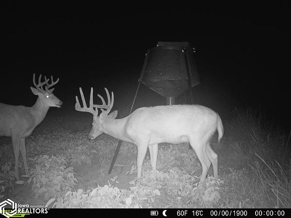 4th image of 19391 County Highway J20
