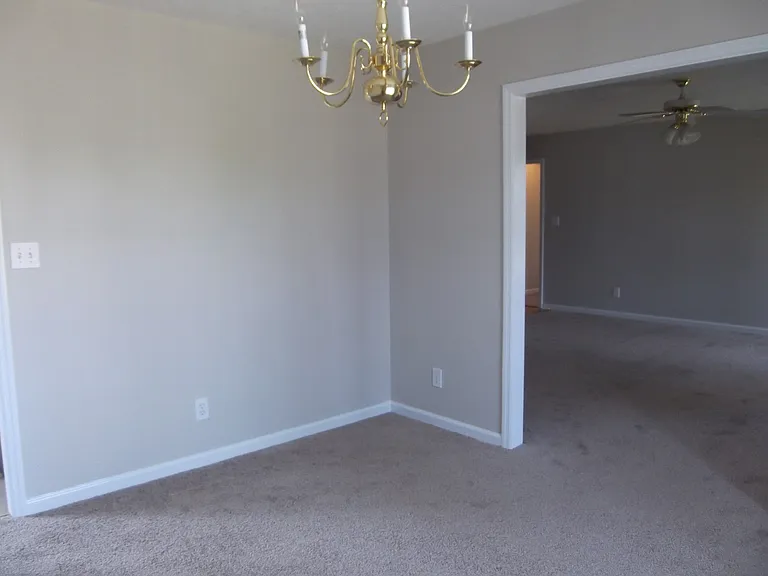 2937 Piney Mountain Dr — Photo 13