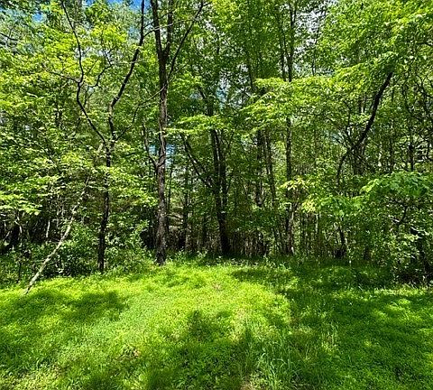 2nd image of TBD Little Big Horn Lane