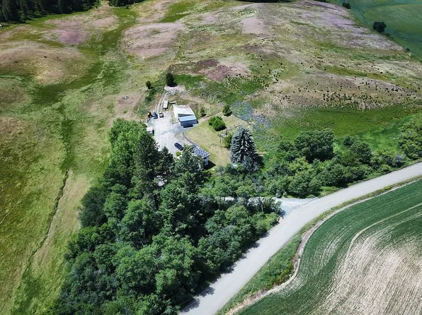 1071 Reynolds Rd, Princeton, ID 83857