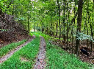 Legion Rd, Ellijay, GA 30540