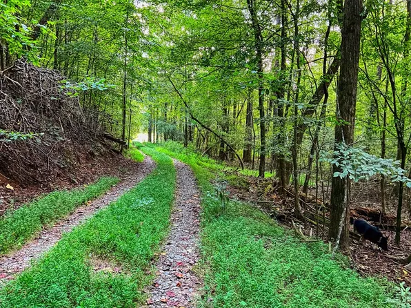 Legion Rd, Ellijay, GA 30540