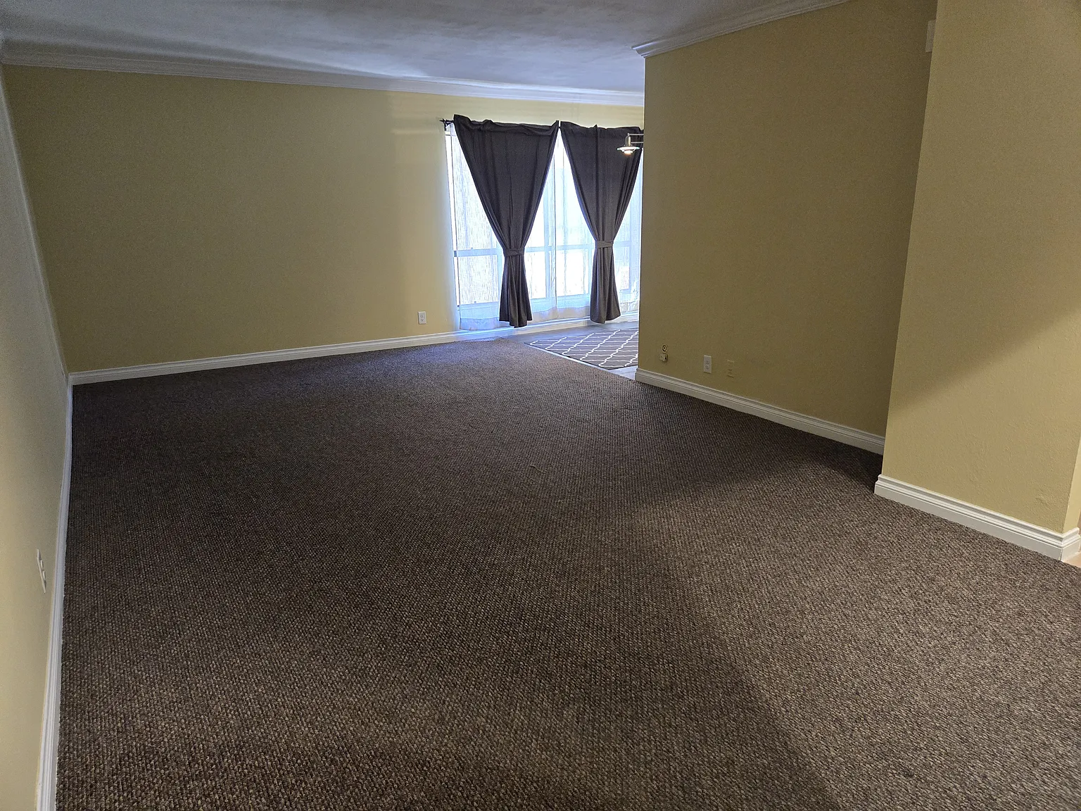 Studio, 513 sqft, $1,800 — Photo 1