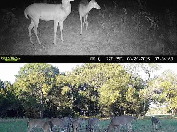 38987 Leo Rd, Asher, OK 74826