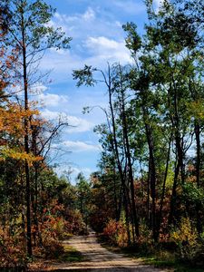 320 Garrison Dr, Mio, MI, 48647