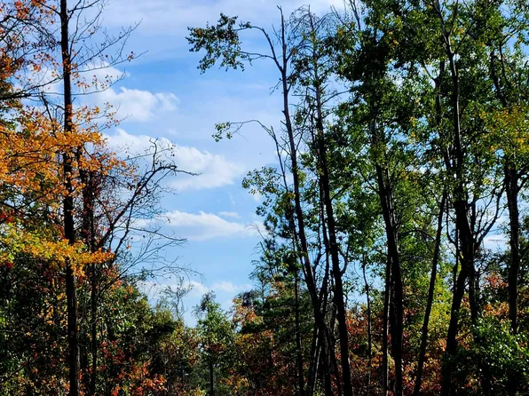 320 Garrison Dr, Mio, MI 48647