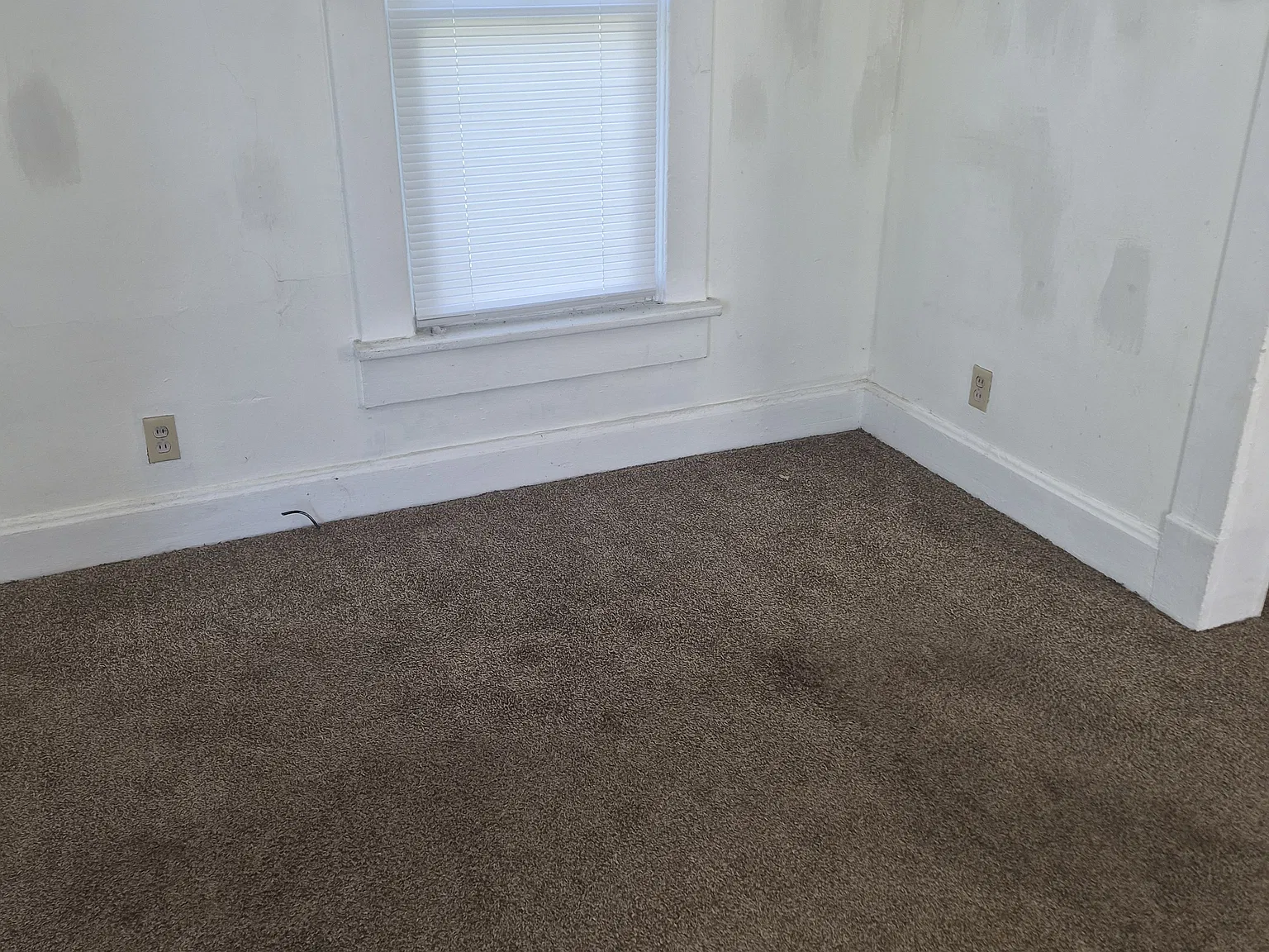 1 bed, 619 sqft, $900 — Photo 2