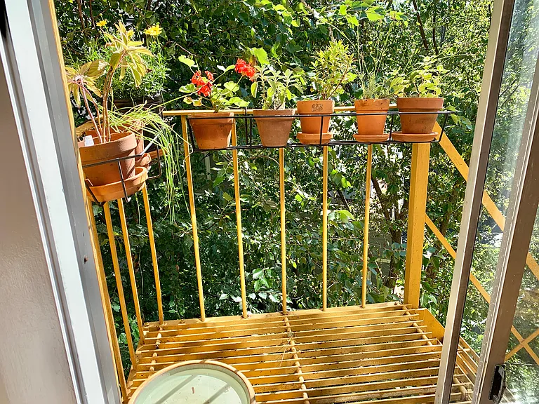 small container garden on fire escape