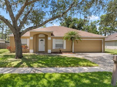 13802 Riverpath Grove Dr, Orlando, FL, 32826
